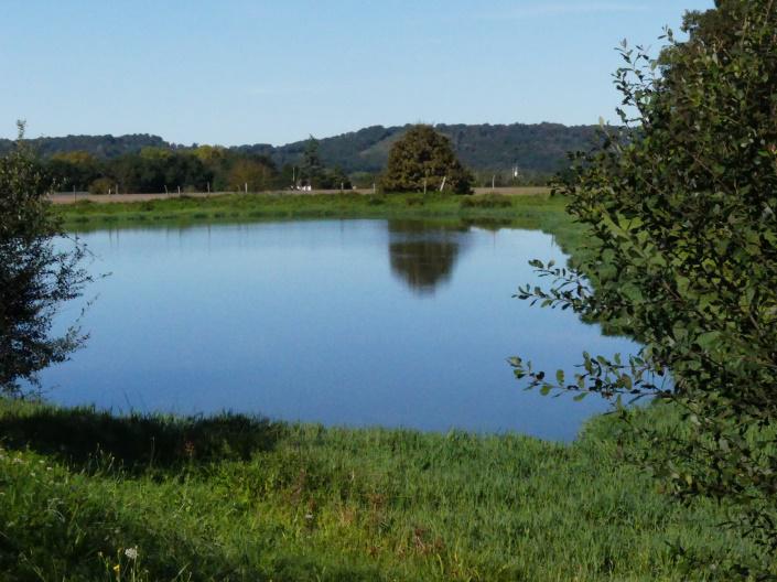 Lac collinaire servant à l'irrigation - Ferme Gaillicou - Saint Gladie Arrive Munein (64)