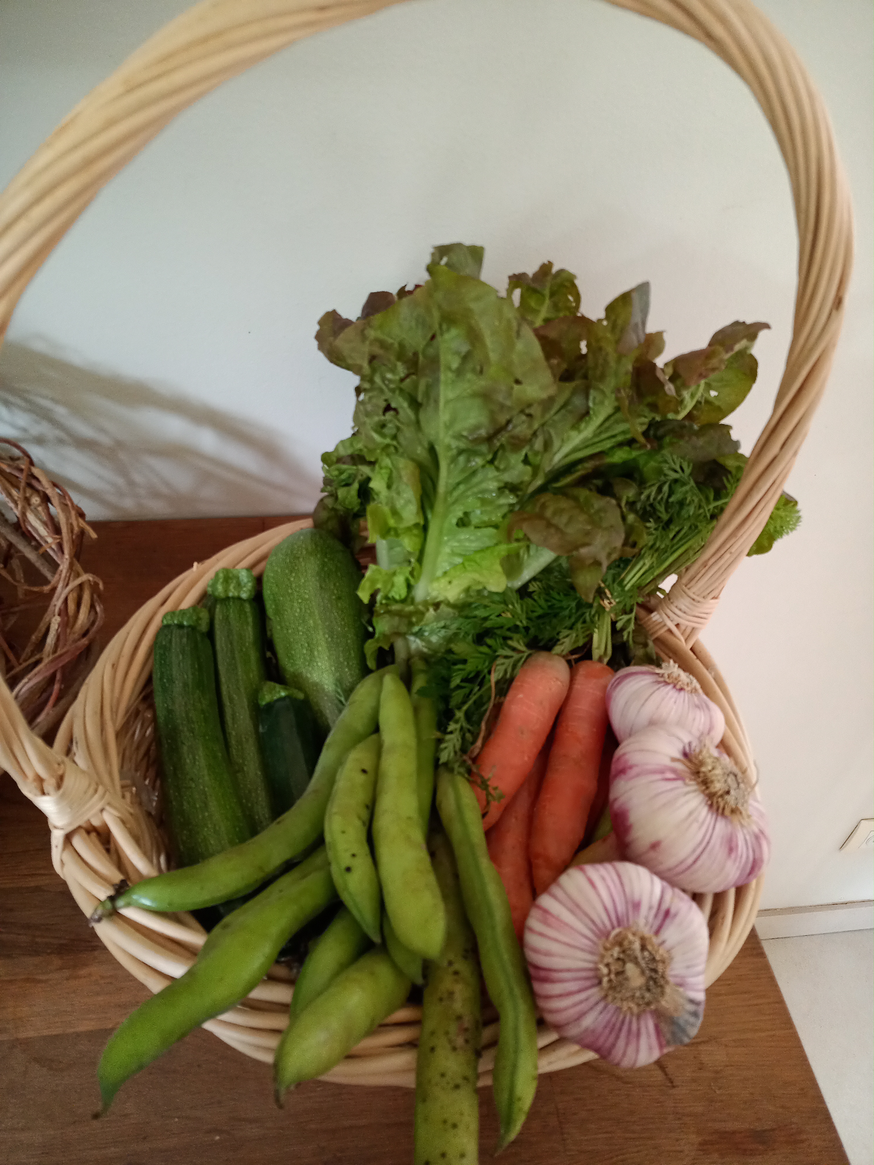 Panier de légumes de "La ferme d'à côté" - Lescar (64)